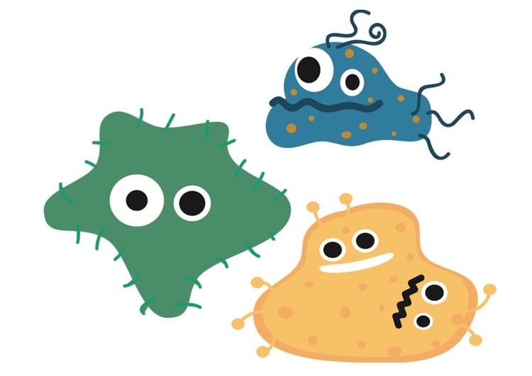 Imagen bacterias