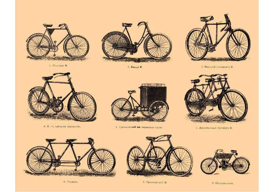 Imagen Bicicletas