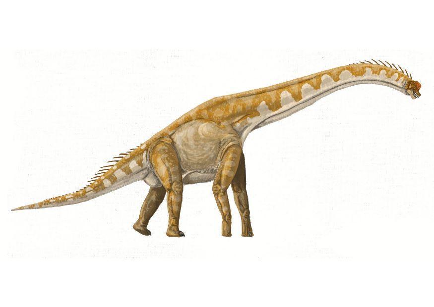 Imagen Brachiosaurus