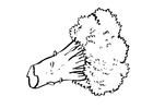 Dibujo para colorear brécol