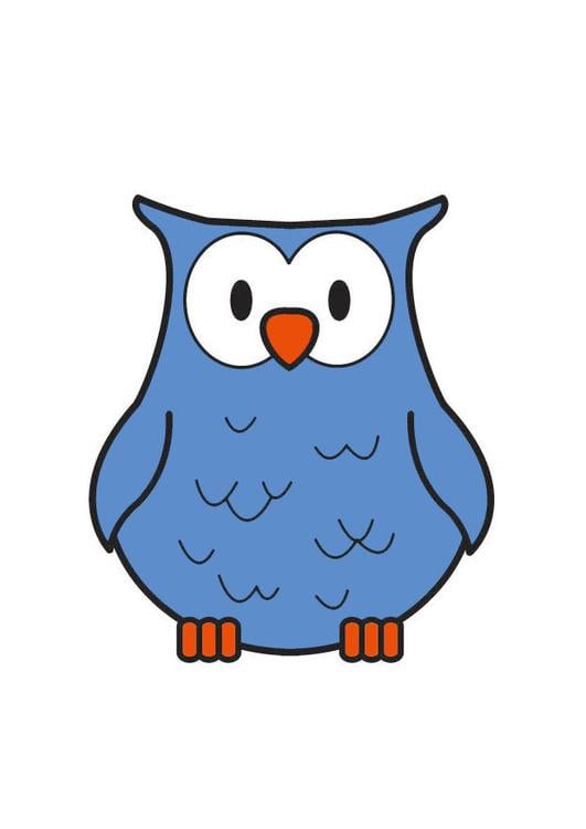 bÃºho