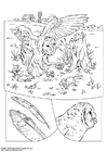 Dibujo para colorear búho