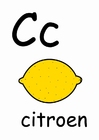 imagen c