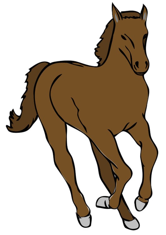 Imagen caballo