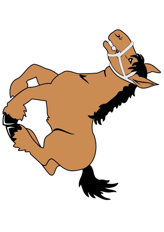 caballo