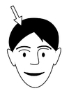 Dibujo para colorear cabello