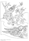 Dibujo para colorear camaleÃ³n