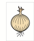 cebolla