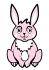 Imagen conejito de pascua