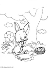 Dibujo para colorear conejo de pascua