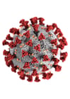 Imagenes coronavirus