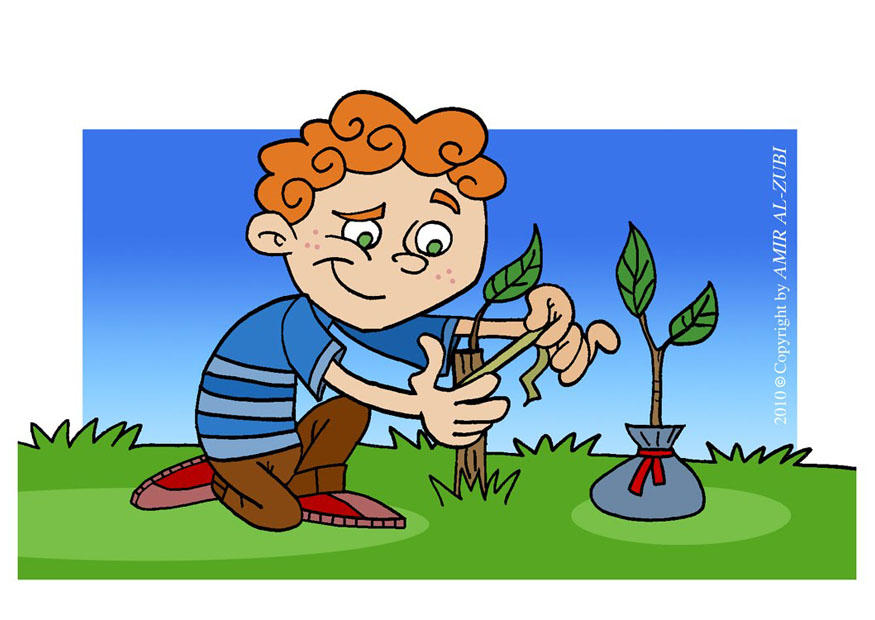 Imagen cuidar de un árbol - Imágenes Para Imprimir Gratis - Img 22250 Imagen cuidar de un árbol - Imágenes Para Imprimir Gratis - Img 22250