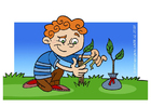 cuidar de un árbol