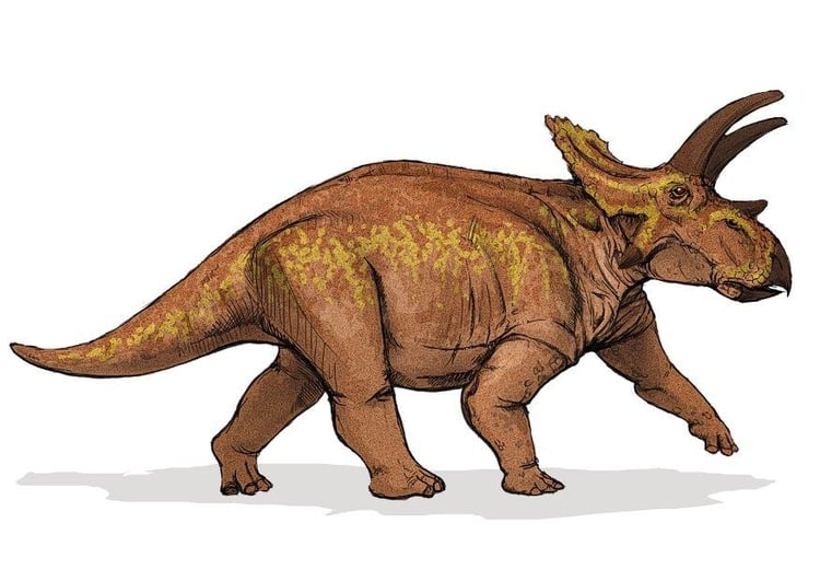 Imagen Dinosaurio anchiceratops