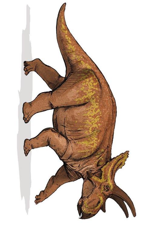 Dinosaurio anchiceratops