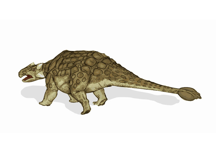 Imagen dinosaurio - ankylosaurus 2