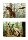 Imagen Dinosaurio con plumas