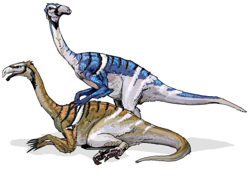 Imagen Dinosaurio Nanshiungosaurus