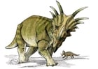 Imagenes Dinosaurio styracosaurus