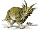 Dinosaurio styracosaurus