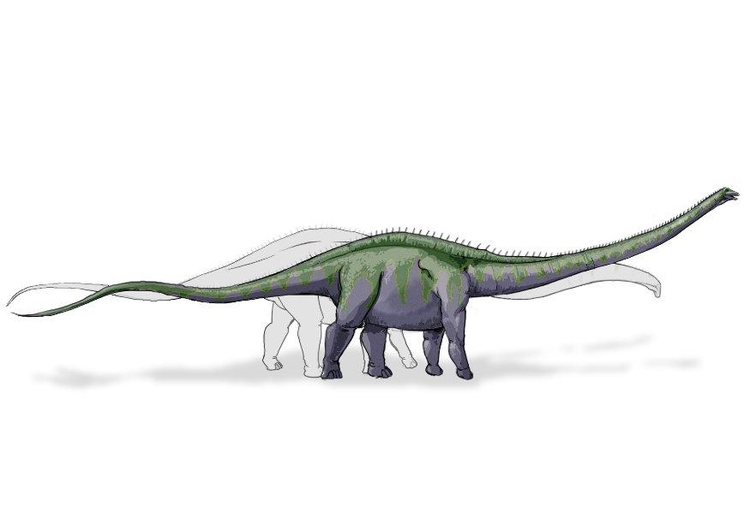 Imagen Dinosaurio supersaurio