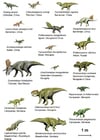 Imagenes Dinosaurios 