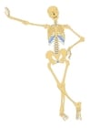 Imagenes Esqueleto