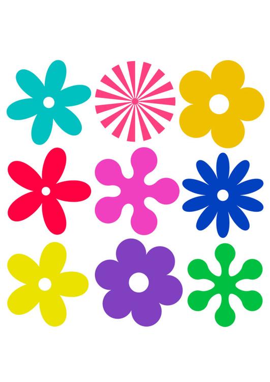 flores