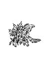 Dibujo para colorear flores