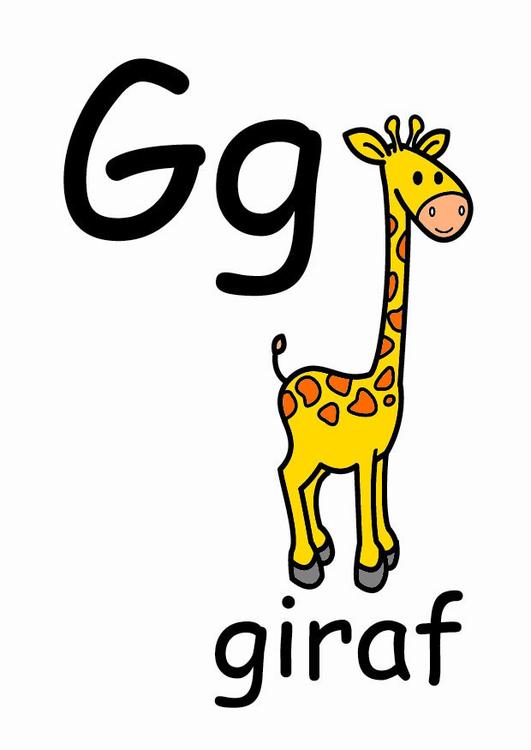 g