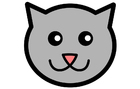 imagen gato