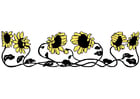 girasoles