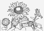 Dibujo para colorear girasoles