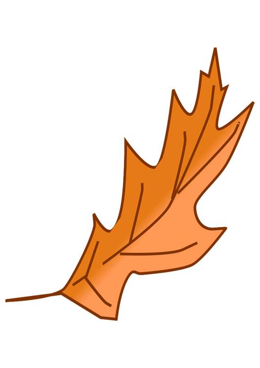 hoja de otoÃ±o