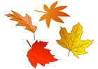 Imagenes hojas de otoño