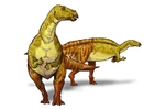 Imagenes Iguanodont