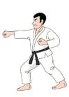 Imagenes judo