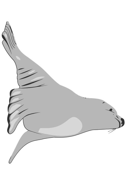 leÃ³n marino