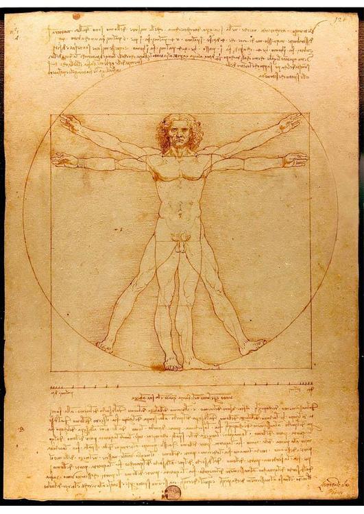 Leonardo da Vinci - Hombre de Vitrubio