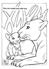 Dibujo para colorear leones en parque natural