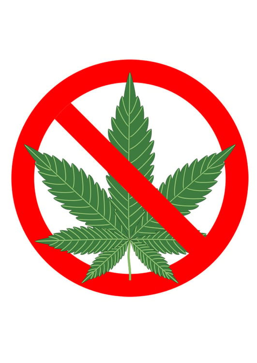 Imagen marihuana prohibida