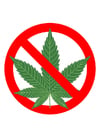 marihuana prohibida