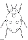 Dibujo para colorear mariquita