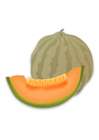 melón