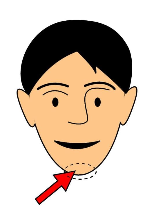 mentÃ³n