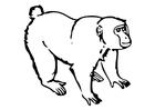 Dibujo para colorear Mono