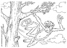 Dibujo para colorear mono