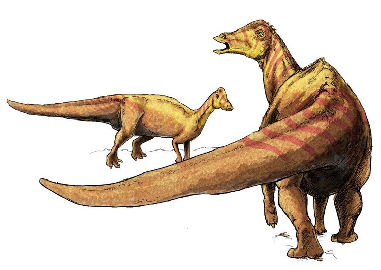 Imagen Nipponosaurus