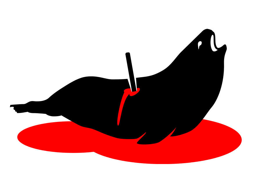 Imagen No a la matanza de focas
