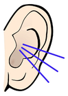 Imagenes oreja - sonido